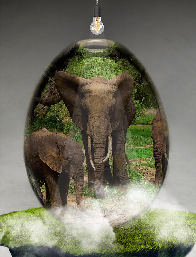 Elephant Art #6 Mixed Media by Marvin Blaine