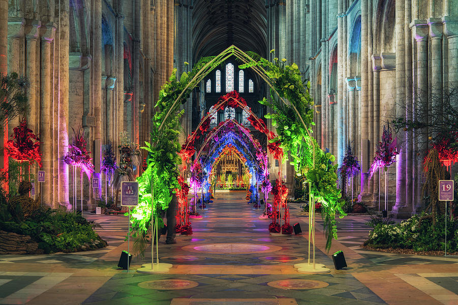 Ely Cathedral Flower Festival #6 Photograph by James Billings