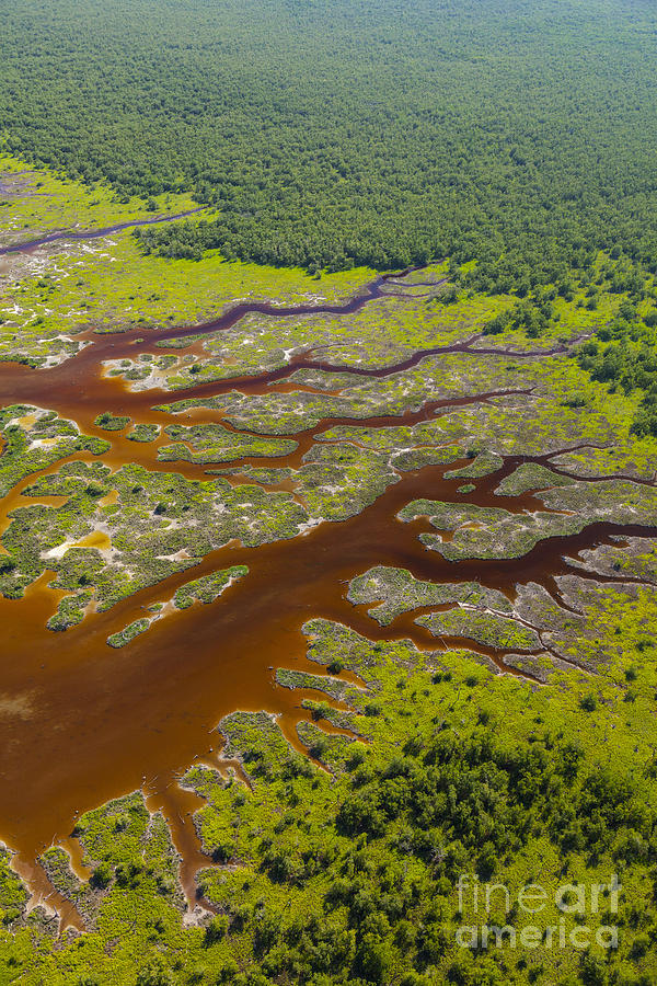 Everglades Aerial #6 Photograph by Juan Carlos Muoz