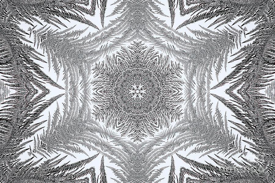 Fern Frost Mandala #9 Digital Art by J McCombie