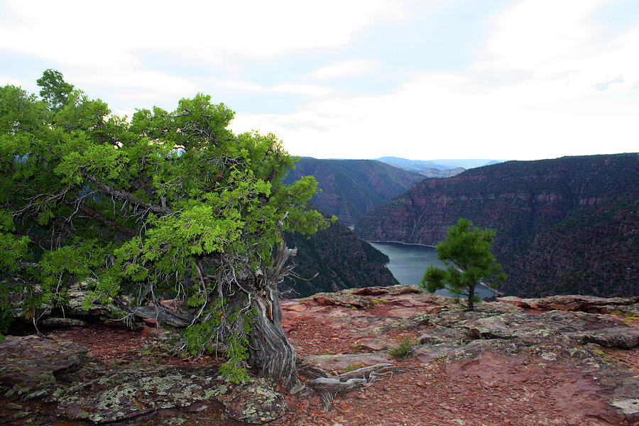 Flaming Gorge National Park #6 Photograph by Ellen Tully