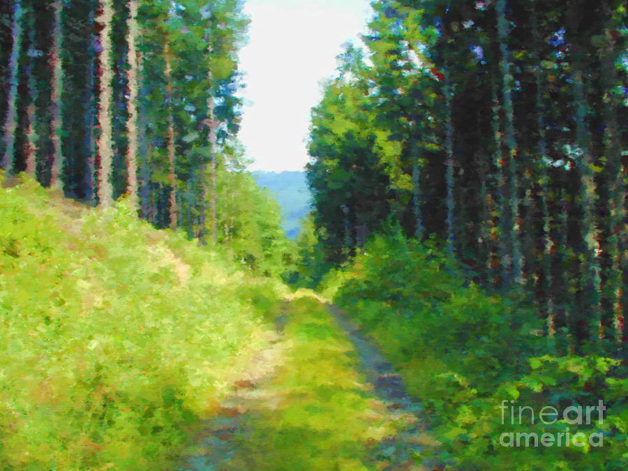 Forest Path Mixed Media
