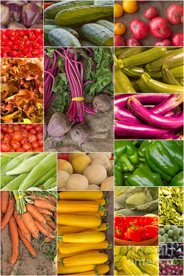 Fruit and Vegetable Collage Photograph by Ezume Images