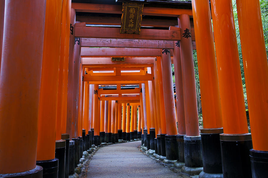 Fushimi Inari Taisha #6 Photograph by Brian Kamprath