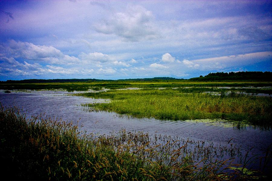 George W. Mead Wildlife Area Photograph by Brett Pavia - Fine Art America