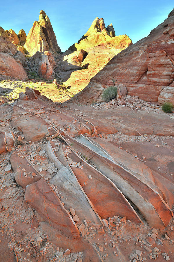 Golden Domes Trail in Valley of Fire #4 Photograph by Ray Mathis