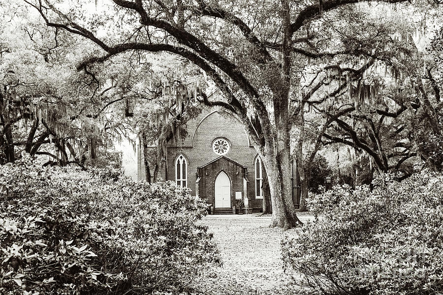 Grace Episcopal Church Under the Oaks - sepia Photograph by Scott Pellegrin