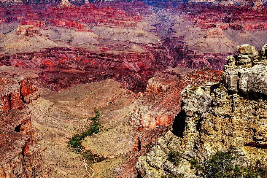 Grand Canyon #6 Photograph by Doug Long