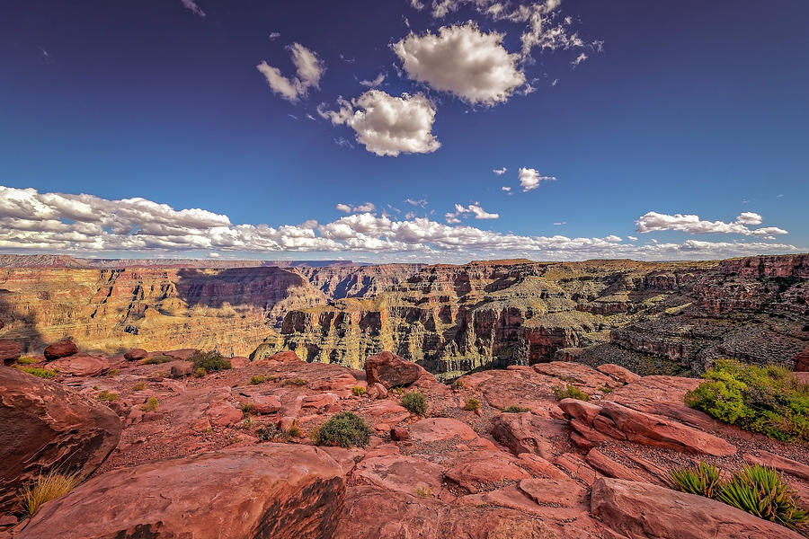 Grand Canyon #6 Photograph by Peter Lakomy