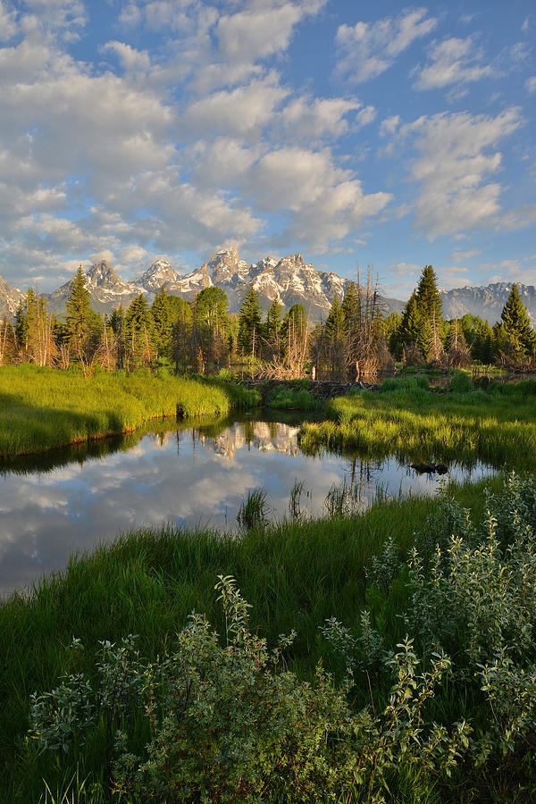 Grand Teton National Park #6 Photograph by Ray Mathis