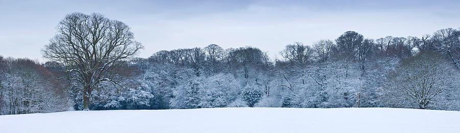 London Photograph - Hampstead Heath In Winter, North #6 by Panoramic Images