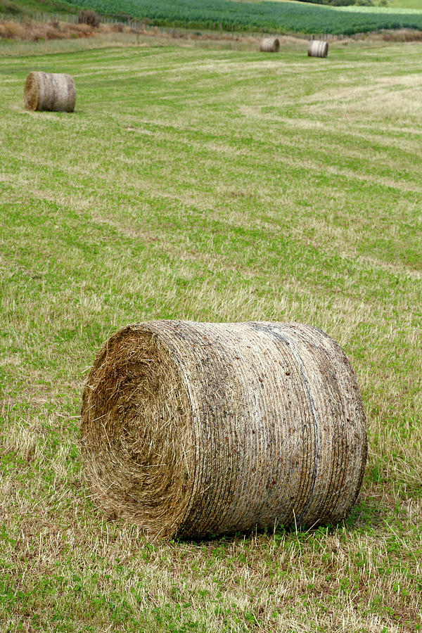 Hay bales #6 Photograph by Les Cunliffe
