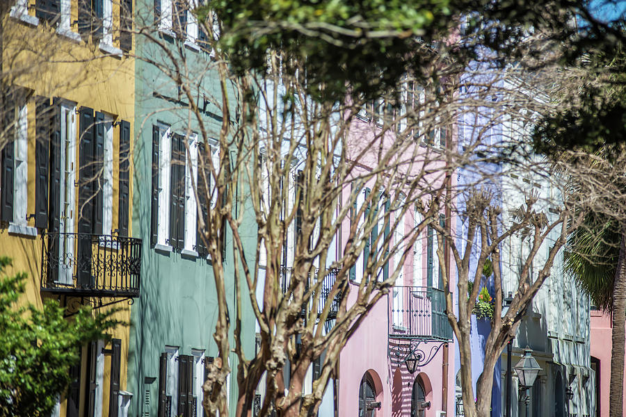 Historic Charleston South Carolina Downtown Scenery #6 Photograph by Alex Grichenko