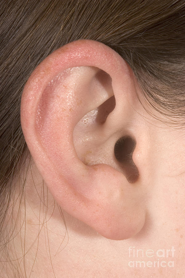 Human Ear #6 Photograph by Ted Kinsman