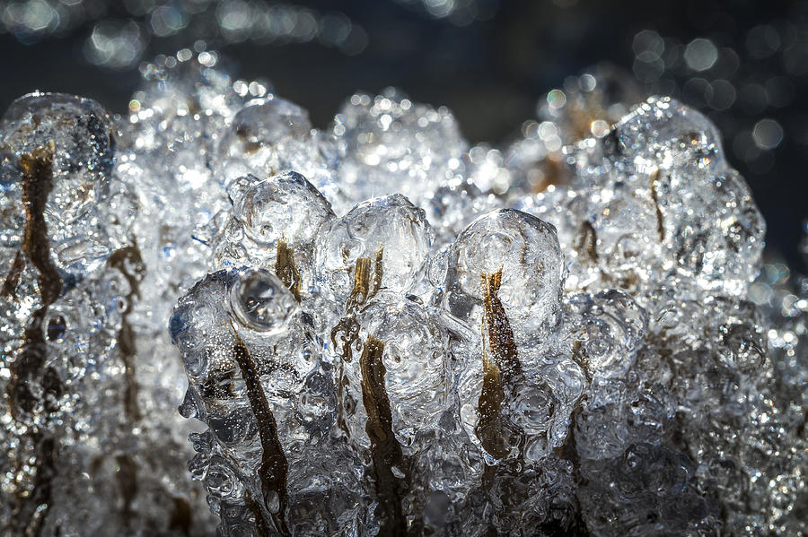 Icefigures #6 Photograph by Elmer Jensen