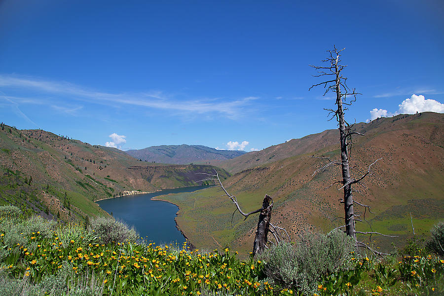 Idaho Landscape #6 Photograph by Dart Humeston