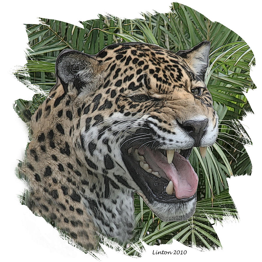 Jaguar Digital Art by Larry Linton