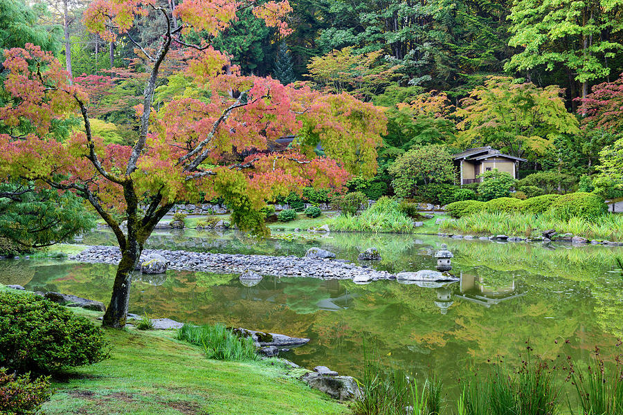 Japanese Garden, Seattle #6 Digital Art by Michael Lee
