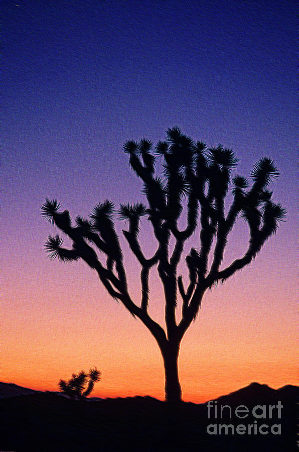 Joshua Tree With Special Effects Photograph