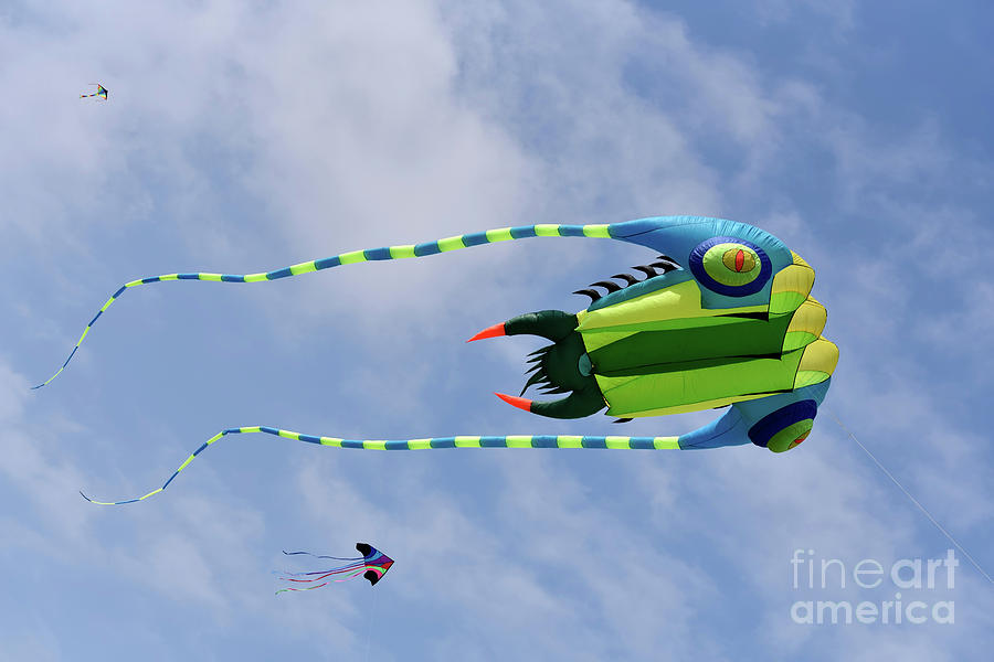 Kites flying during Kite festival #6 Photograph by George Atsametakis