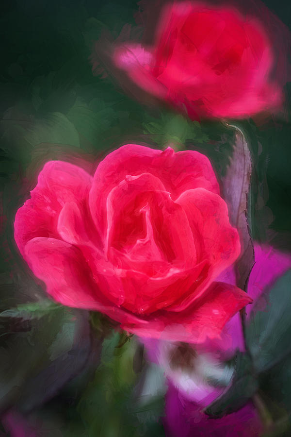 Knockout Roses Painted  #6 Photograph by Rich Franco