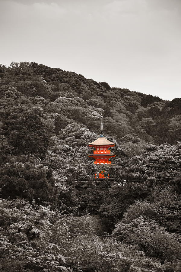 Kyoto #6 Photograph by Songquan Deng