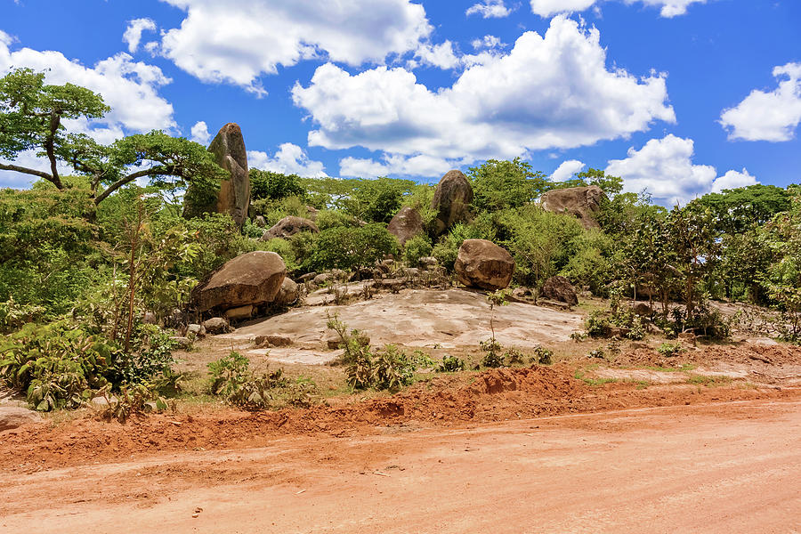 Landscape in Tanzania #6 Photograph by Marek Poplawski