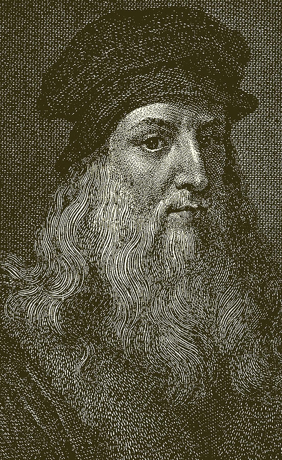 Leonardo Da Vinci Drawing by English School