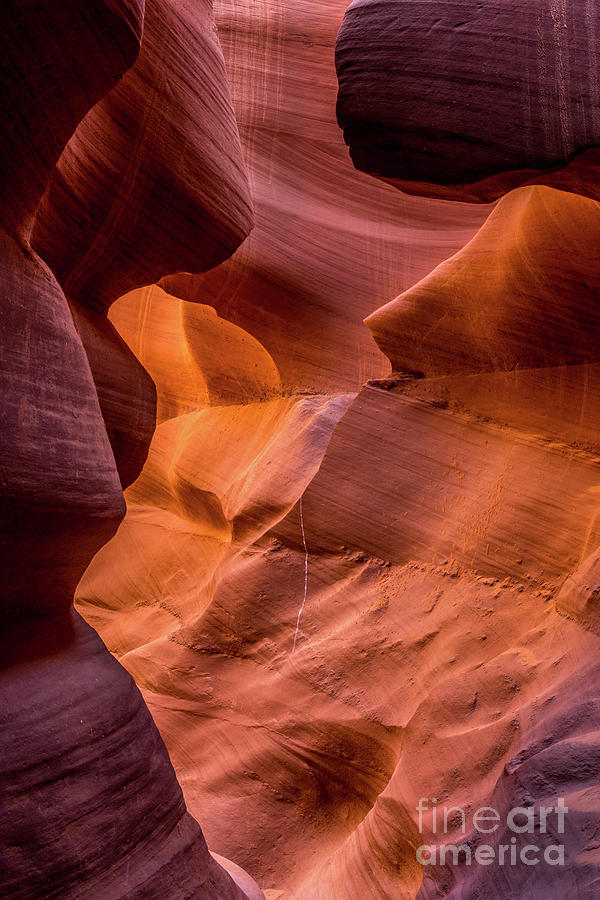 Lower Antelope Canyon #8 Photograph by Craig Shaknis