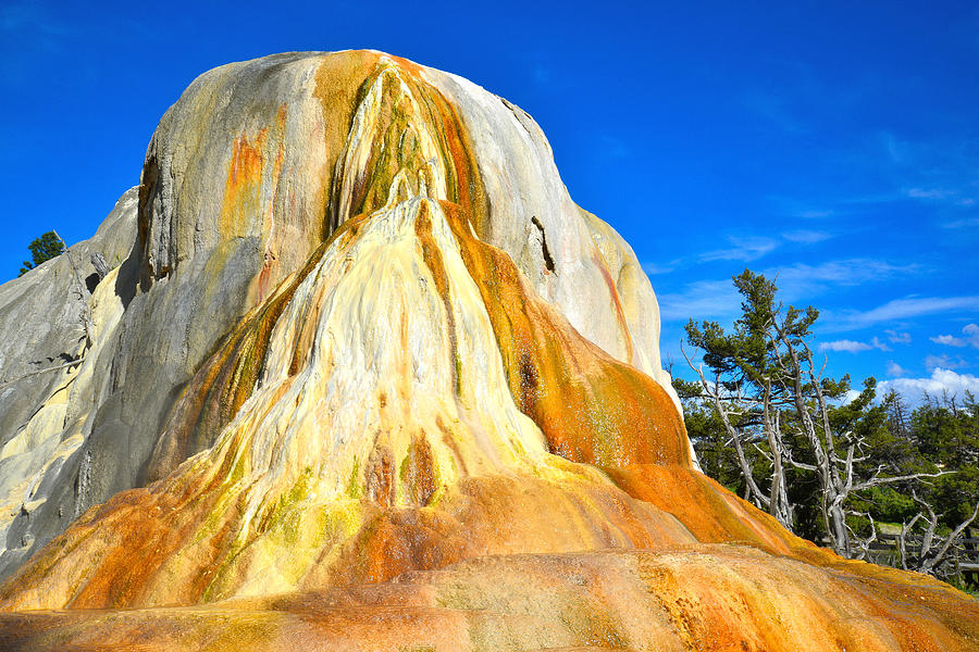 Mammoth Hot Springs #6 Photograph by Ray Mathis