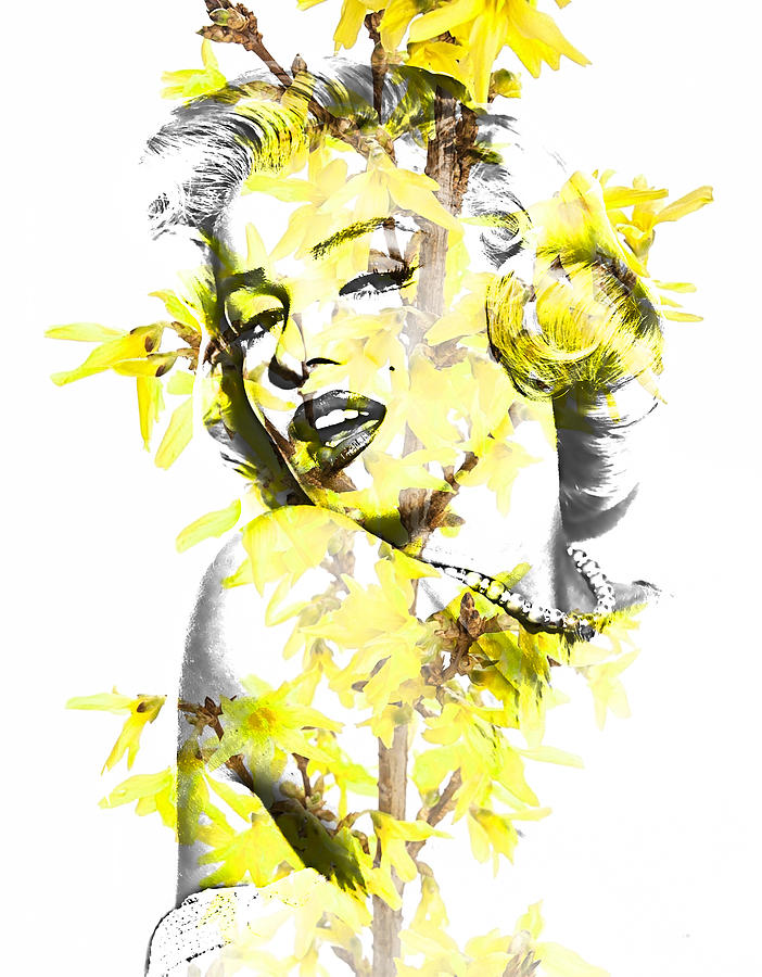 Marilyn Monroe Mixed Media - Marilyn Monroe Collection #6 by Marvin Blaine