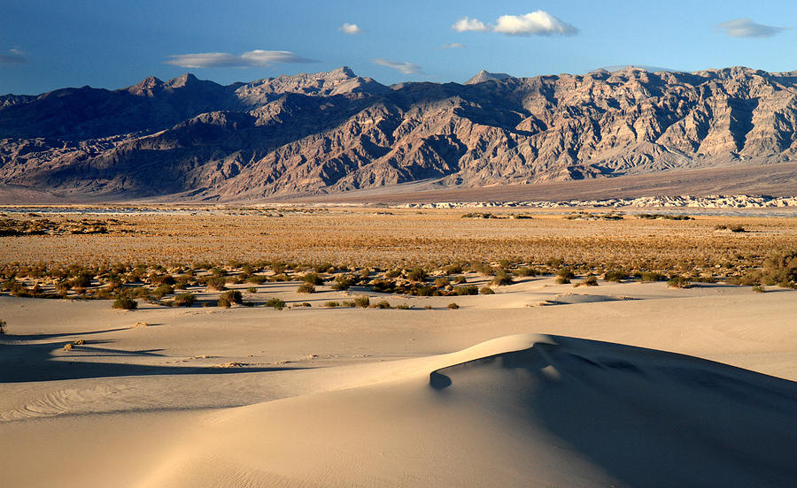 Mesquite Sand dunes in Death Valley National park Photograph by Pierre ...