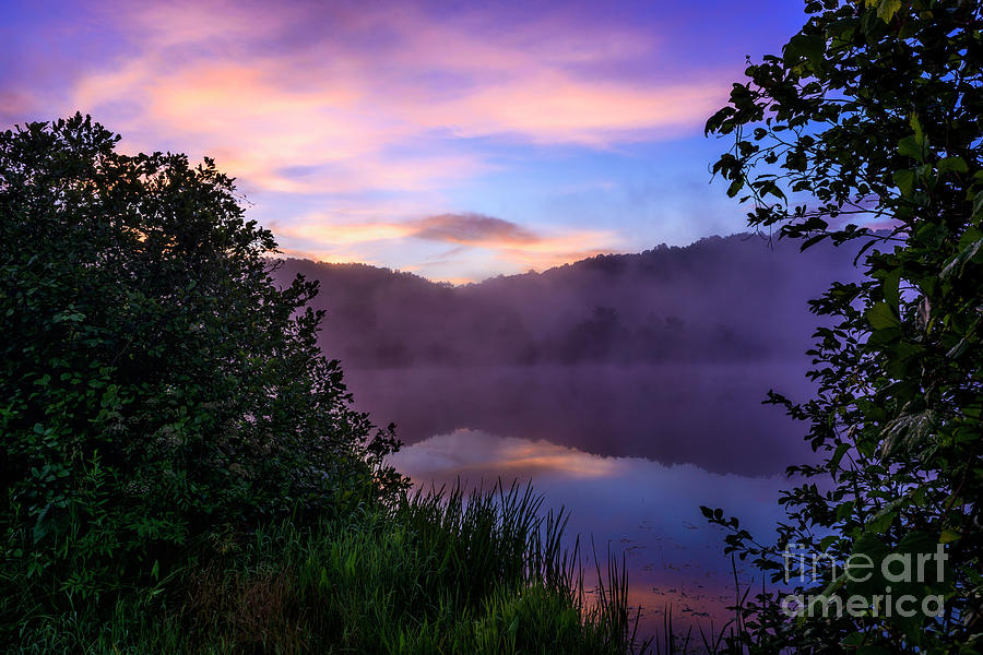 Misty Summer Morning  #8 Photograph by Thomas R Fletcher