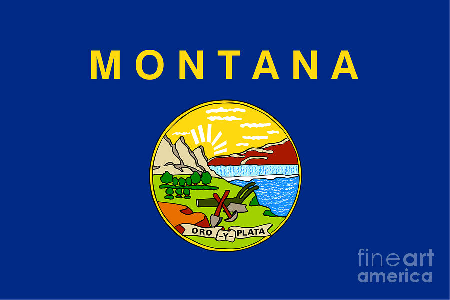 Montana Flag Digital Art