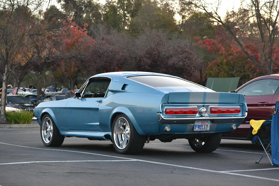Mustang Fastback #6 Photograph by Dean Ferreira