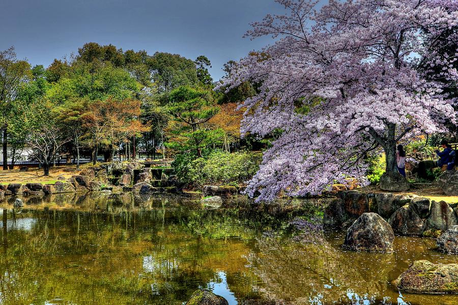 Nara Japan Photograph by Paul James Bannerman