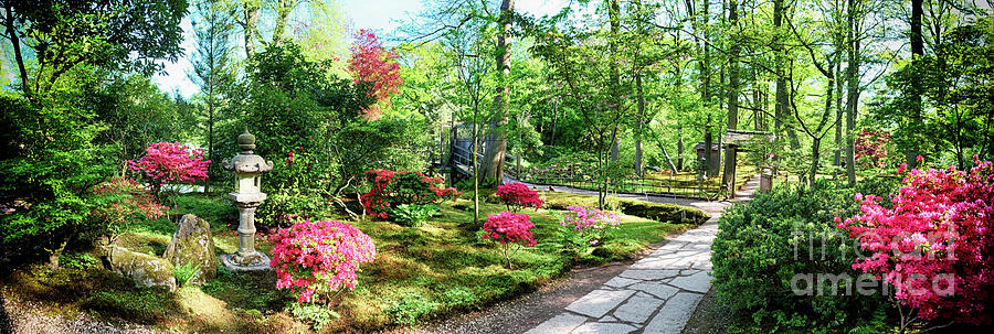 Nature Background Panorama #7 Photograph by Ariadna De Raadt