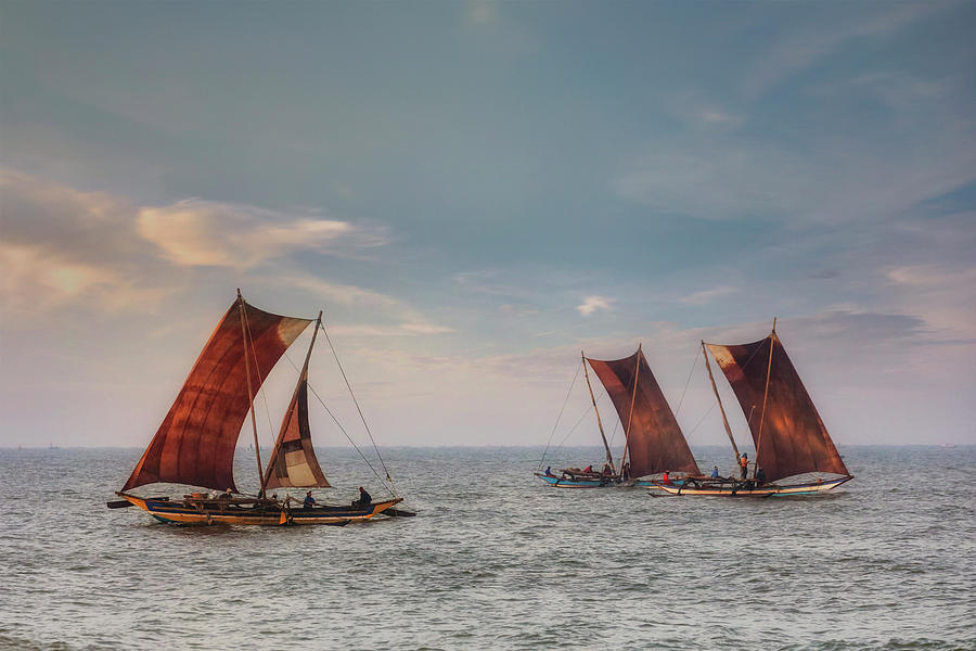 Boat Photograph - Negombo - Sri Lanka #6 by Joana Kruse
