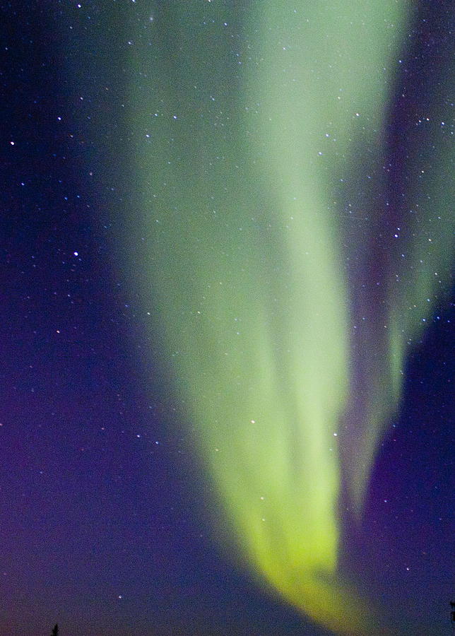 Northern Lights #6 Photograph by David Matthews