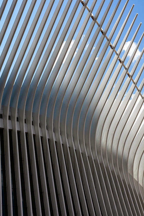 Oculus Center Architectural Ribs #6 Photograph by Robert Ullmann