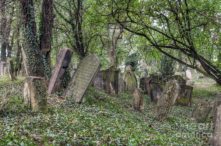 Old Jewish Cemetery #6 Photograph by Michal Boubin