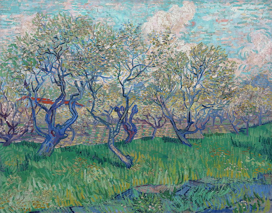 Orchard in Blossom Painting by Vincent Van Gogh Fine Art America