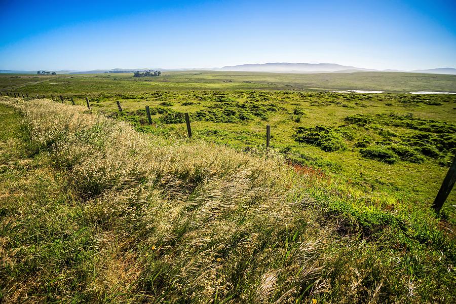 Point Reyes National Seashore Landscapes In California #6 Photograph by Alex Grichenko