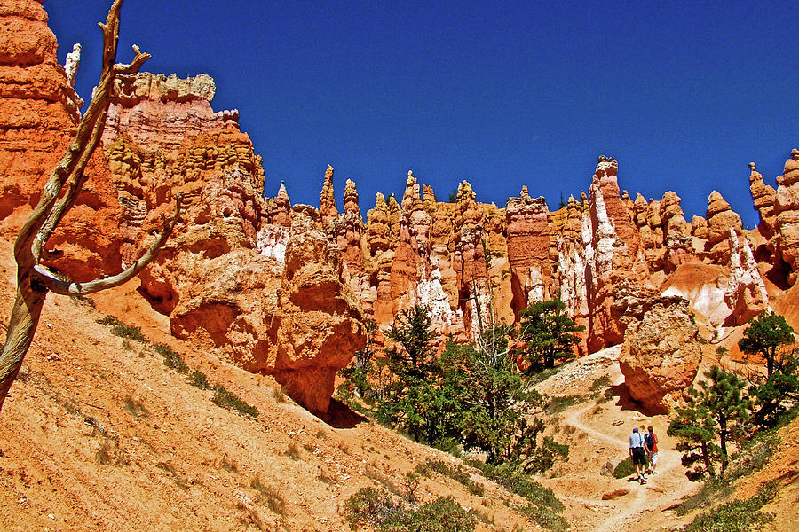 Queens Garden Trail in Bryce National Park, Utah #6 Photograph by Ruth Hager