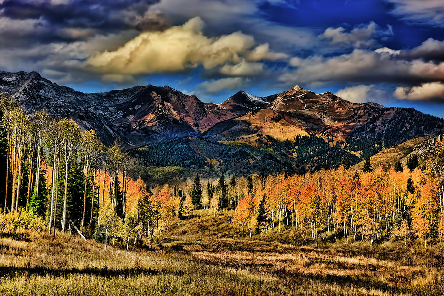 Rocky Mountain Fall #6 Photograph by Mark Smith