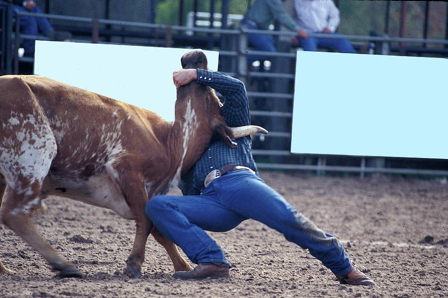 Rodeo in Kissimmee Photograph by Carl Purcell Fine Art America