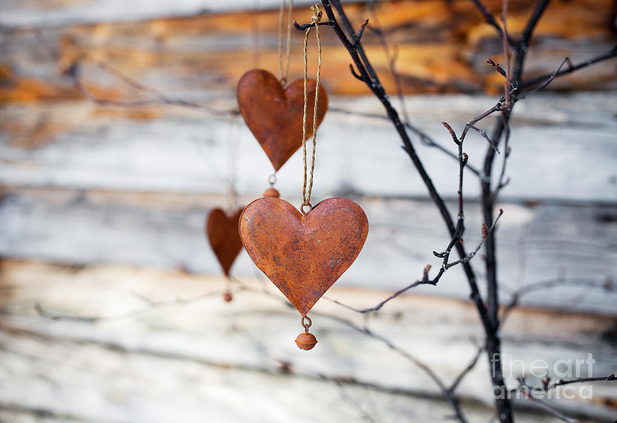 Rustic hearts #6 Photograph by Kati Finell