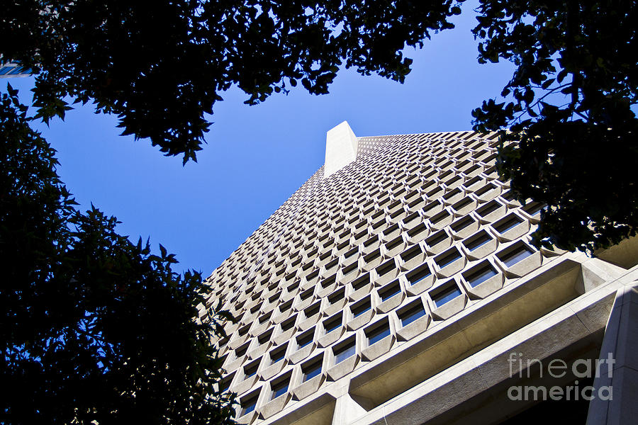 San Francisco Transamerica Pyramid Building Photograph