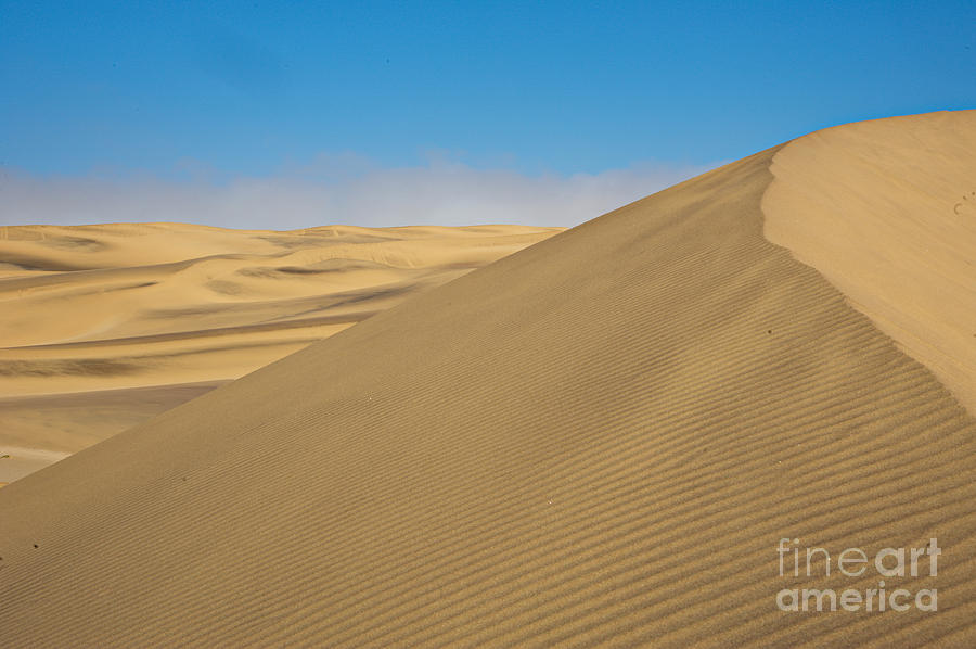 Sand Dunes In Namib Desert Photograph by Francesco Tomasinelli - Pixels