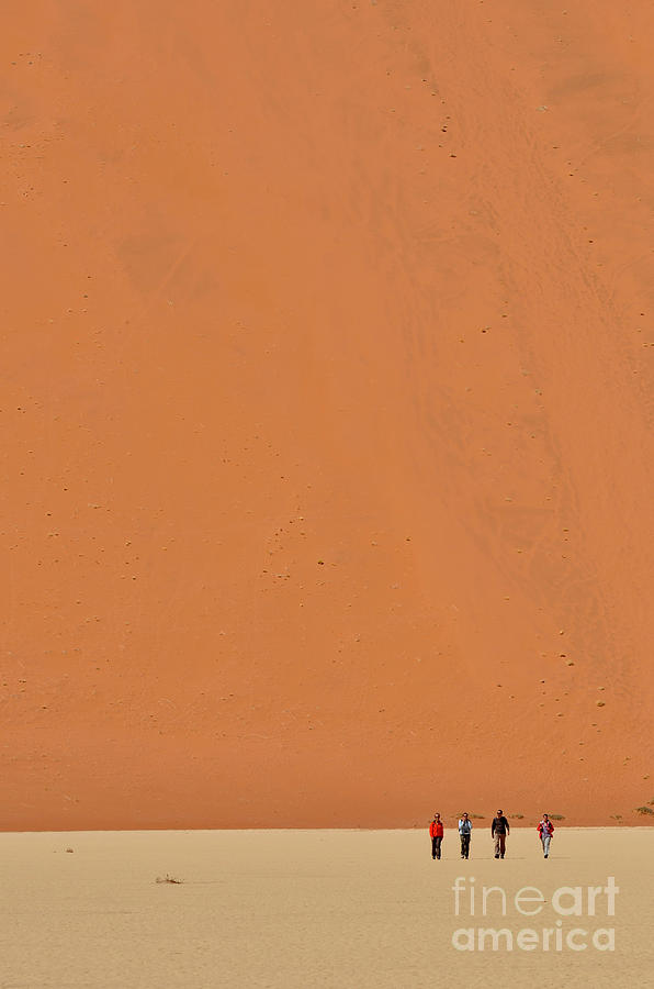 Sand Dunes In Sossusvlei #6 Photograph by Francesco Tomasinelli